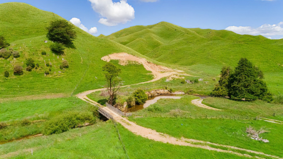 Run off or Small Farm – 81ha Bare Land
