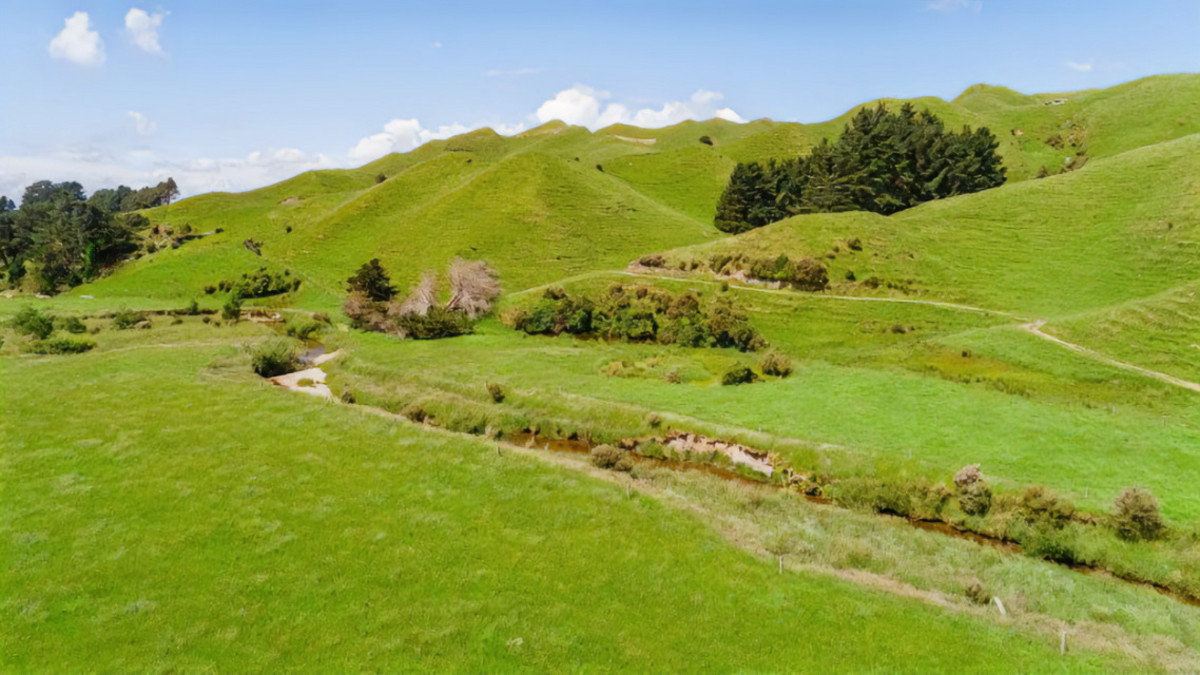 Run off or Small Farm – 81ha Bare Land