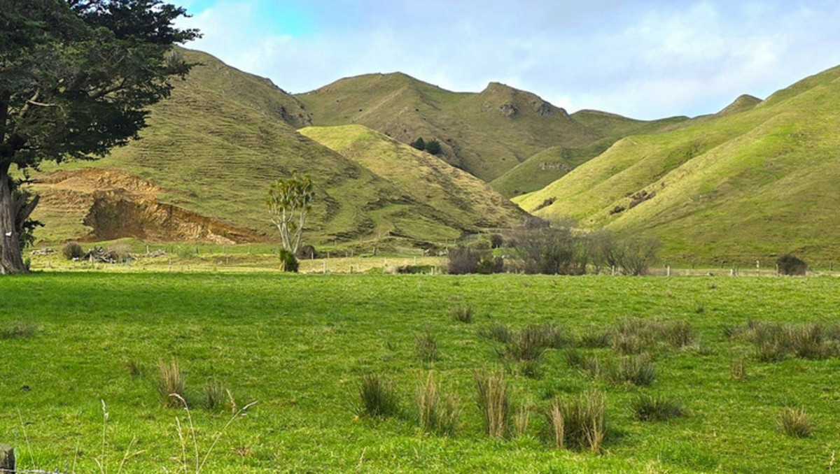 Run off or Small Farm – 81ha Bare Land