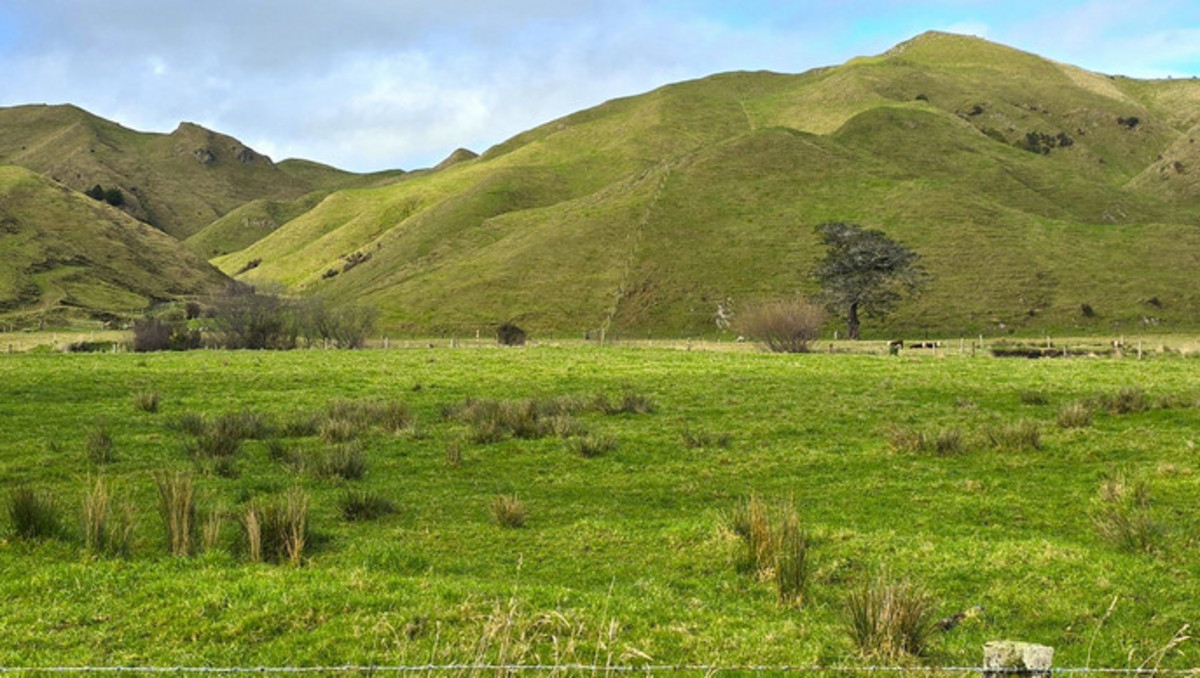 Run off or Small Farm – 81ha Bare Land