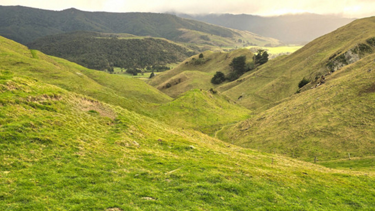 Run off or Small Farm – 81ha Bare Land