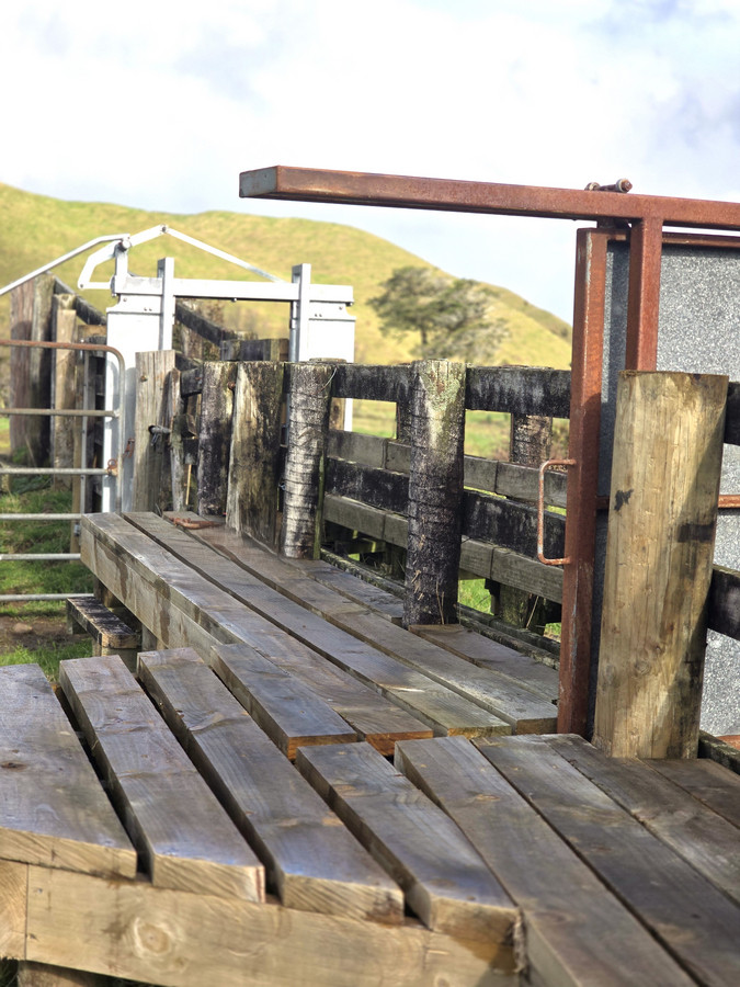 Run off or Small Farm – 81ha Bare Land
