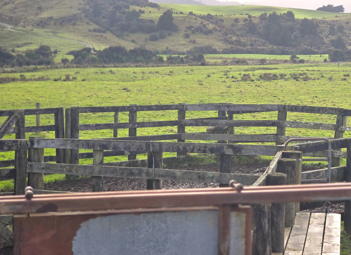 Run off or Small Farm – 81ha Bare Land