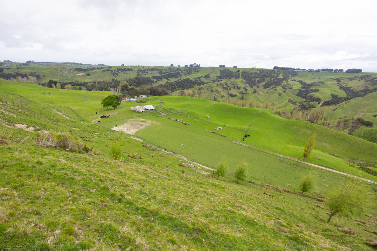 Entry Level Farming Handy To City