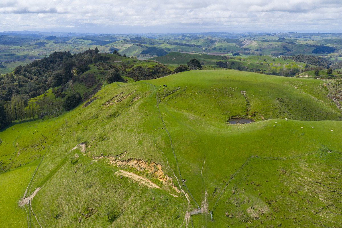 Entry Level Farming Handy To City