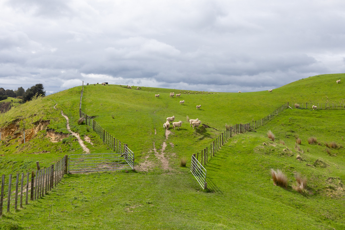 Entry Level Farming Handy To City