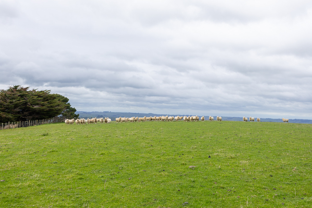 Entry Level Farming Handy To City