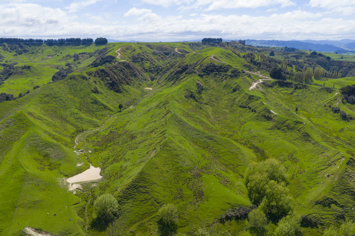 Entry Level Farming Handy To City