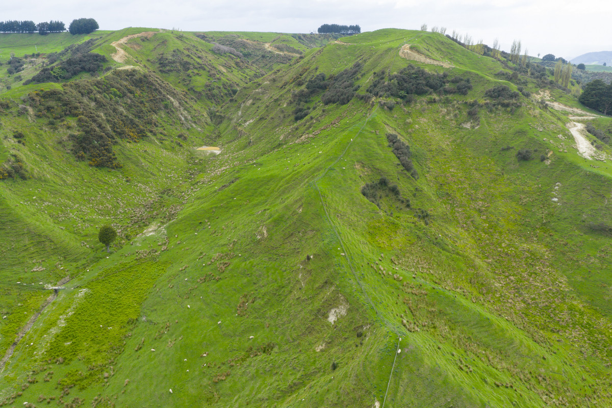 Entry Level Farming Handy To City