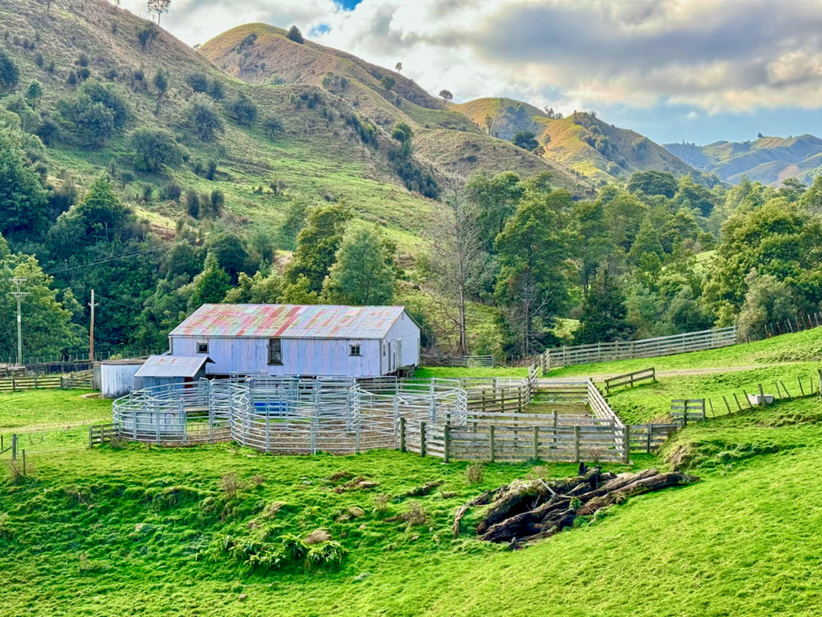 Kereru Farm - Price Reduced