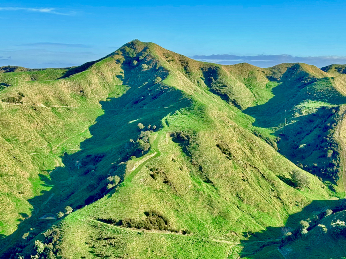 Kereru Farm - Price Reduced