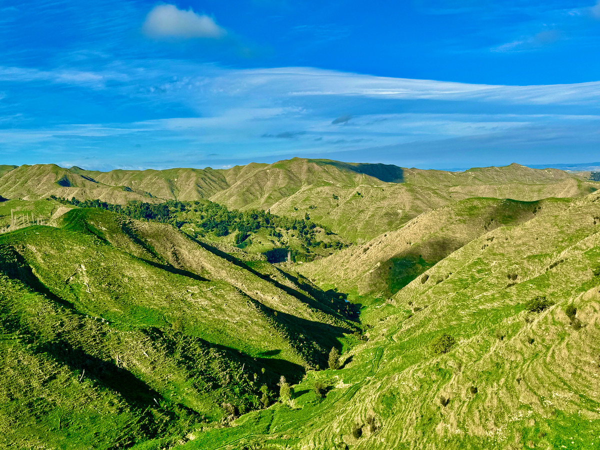 Kereru Farm - Price Reduced