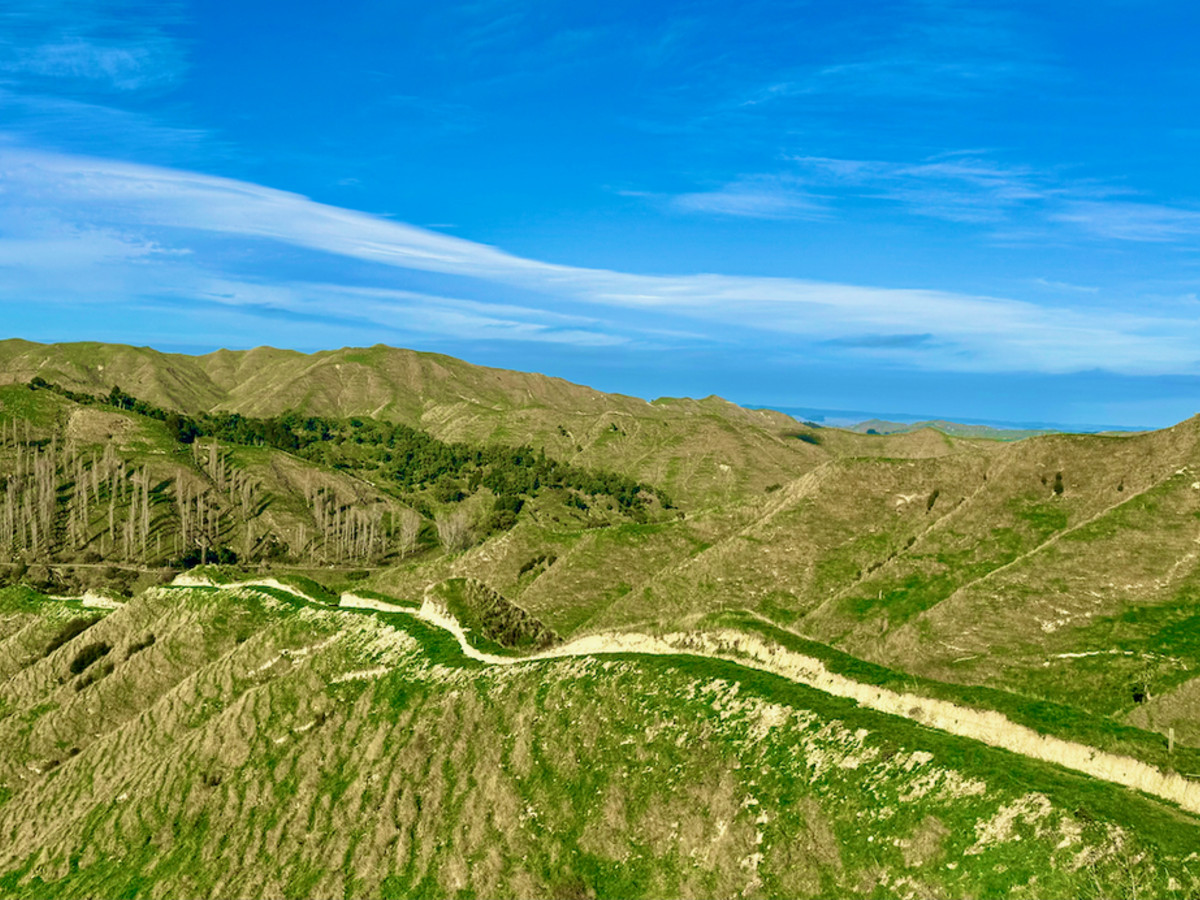 Kereru Farm - Price Reduced