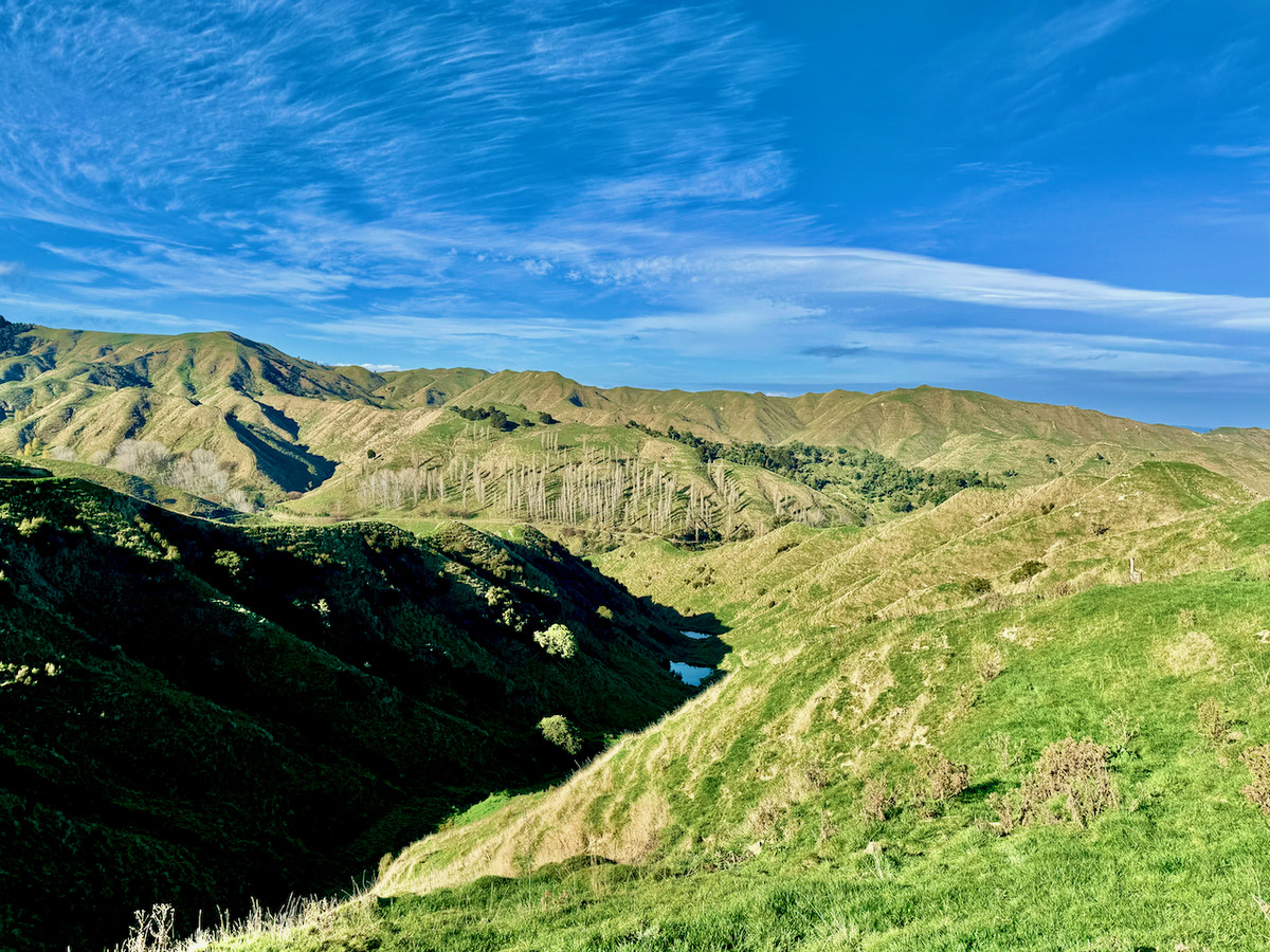 Kereru Farm - Price Reduced