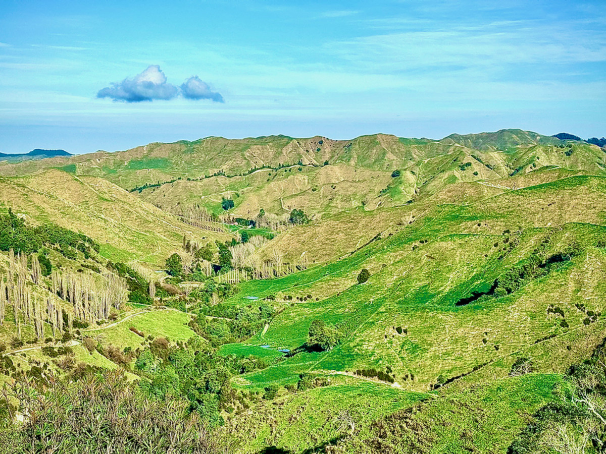Kereru Farm - Price Reduced