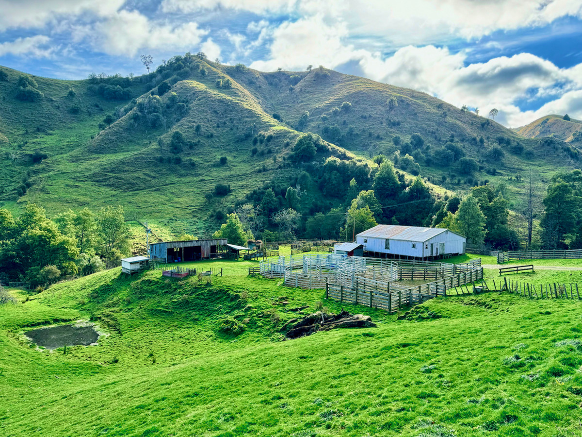 Kereru Farm - Price Reduced