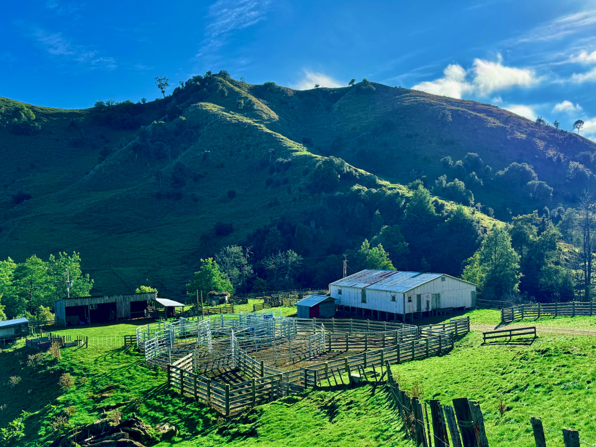 Kereru Farm - Price Reduced