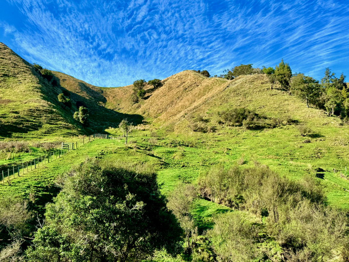 Kereru Farm - Price Reduced