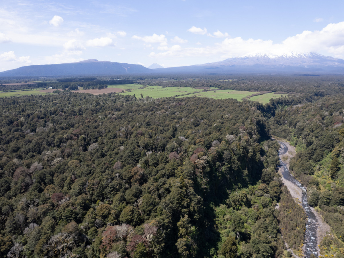 A Prime Bush Block Opportunity in Ruapehu