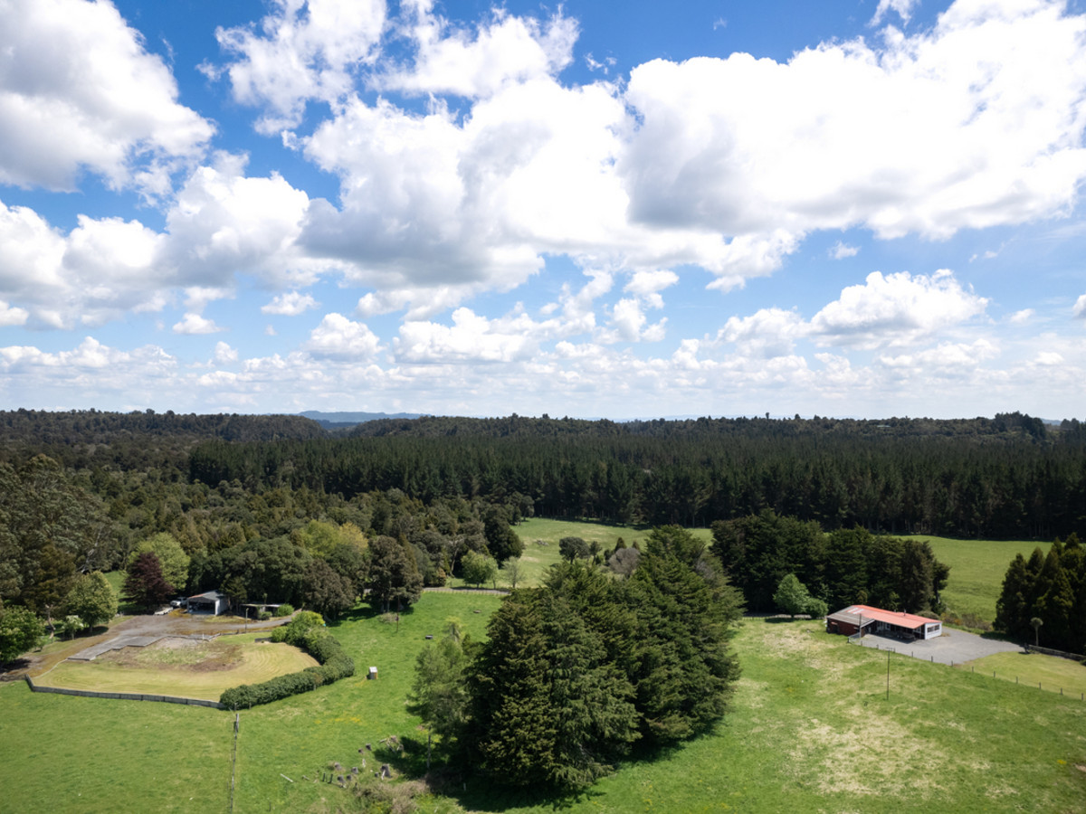 A Prime Bush Block Opportunity in Ruapehu