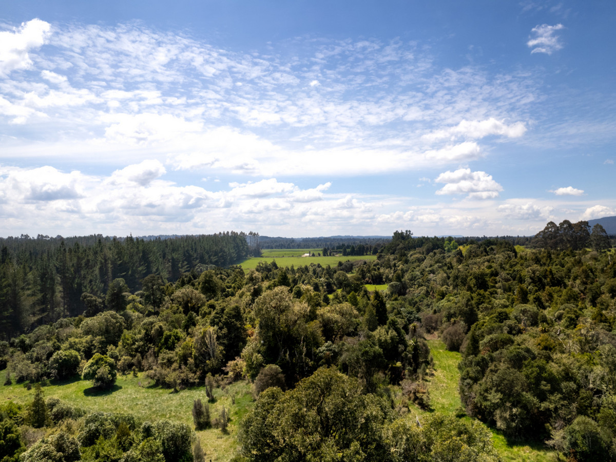 A Prime Bush Block Opportunity in Ruapehu
