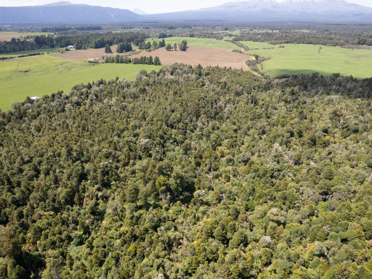 A Prime Bush Block Opportunity in Ruapehu