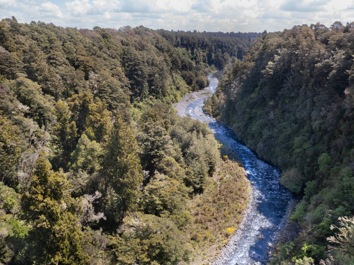 A Prime Bush Block Opportunity in Ruapehu