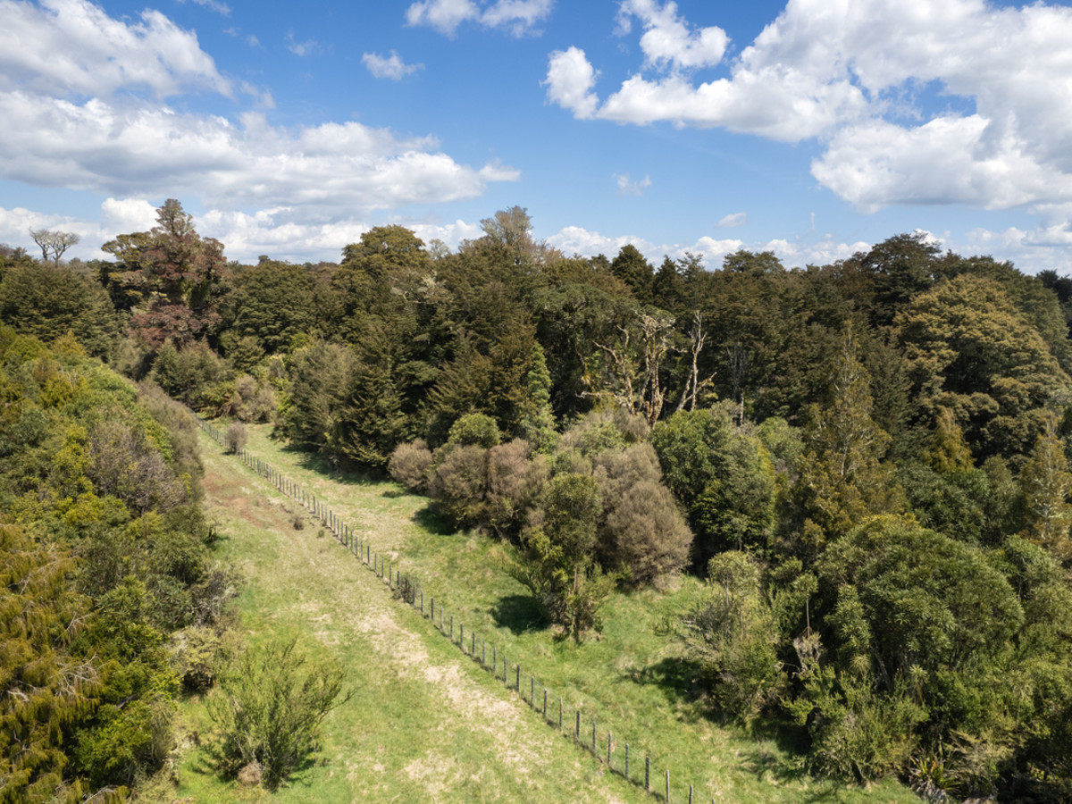 A Prime Bush Block Opportunity in Ruapehu