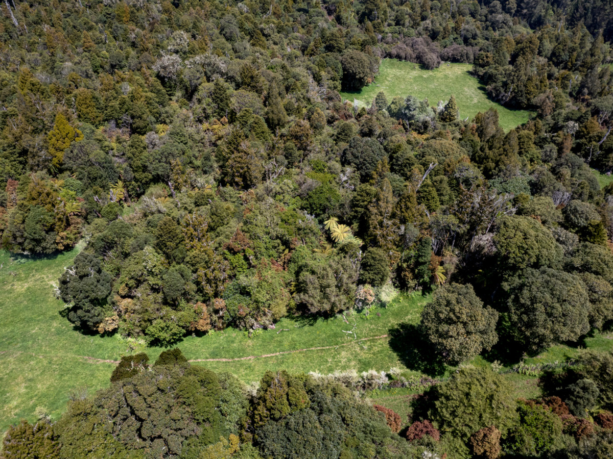 A Prime Bush Block Opportunity in Ruapehu