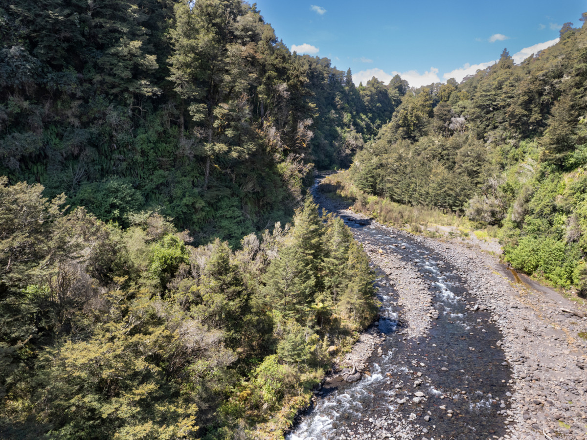 A Prime Bush Block Opportunity in Ruapehu
