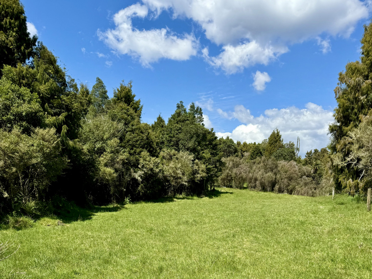 A Prime Bush Block Opportunity in Ruapehu
