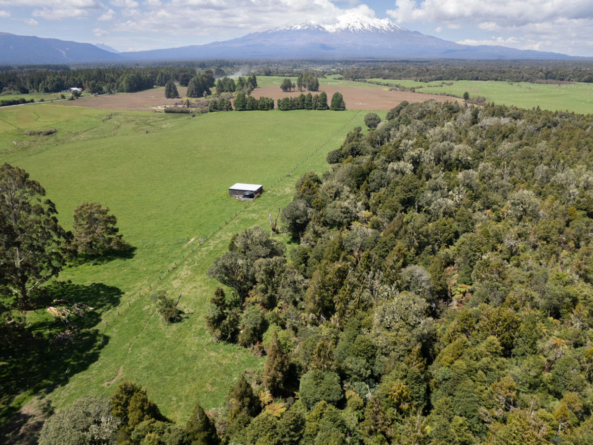 A Prime Bush Block Opportunity in Ruapehu