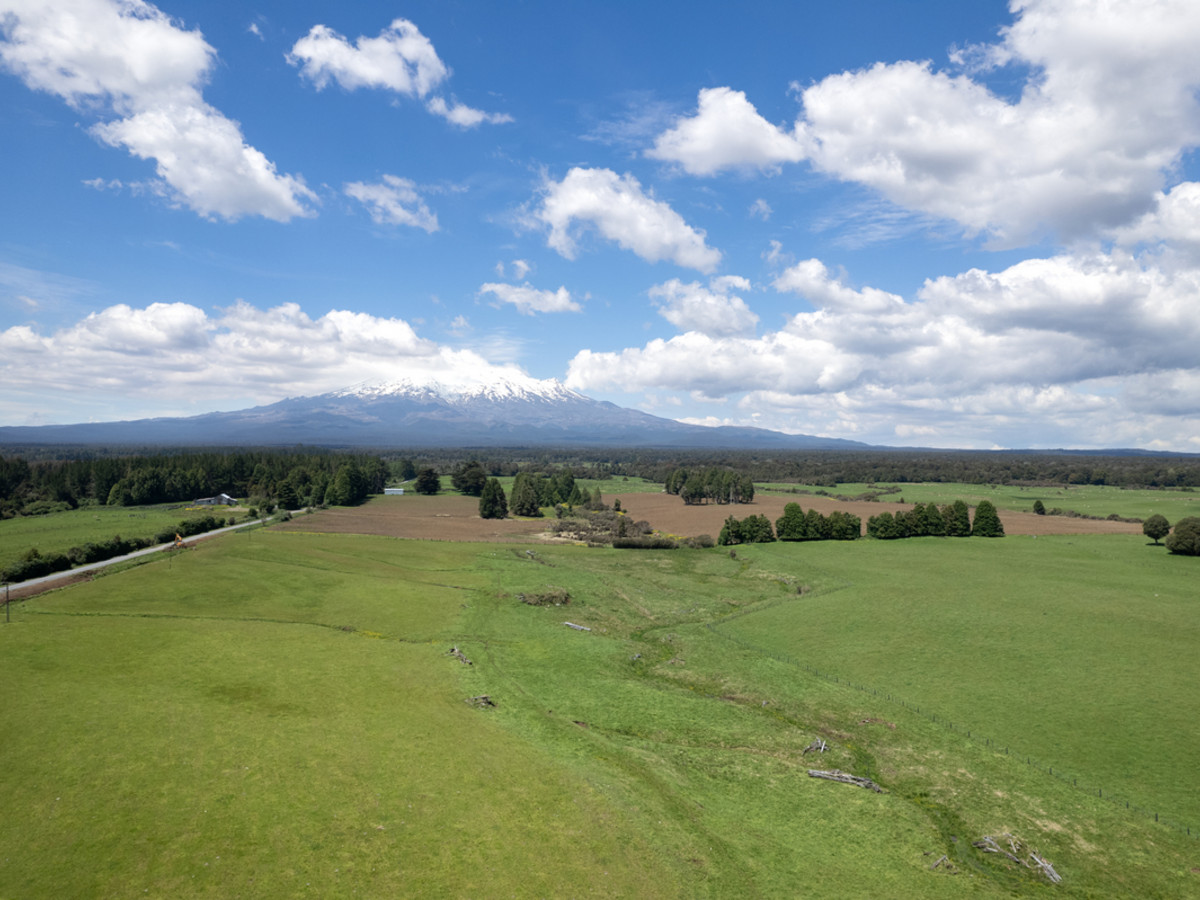 A Prime Bush Block Opportunity in Ruapehu