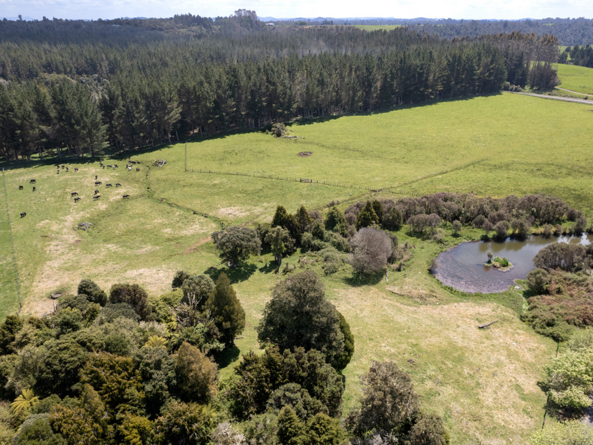 A Prime Bush Block Opportunity in Ruapehu