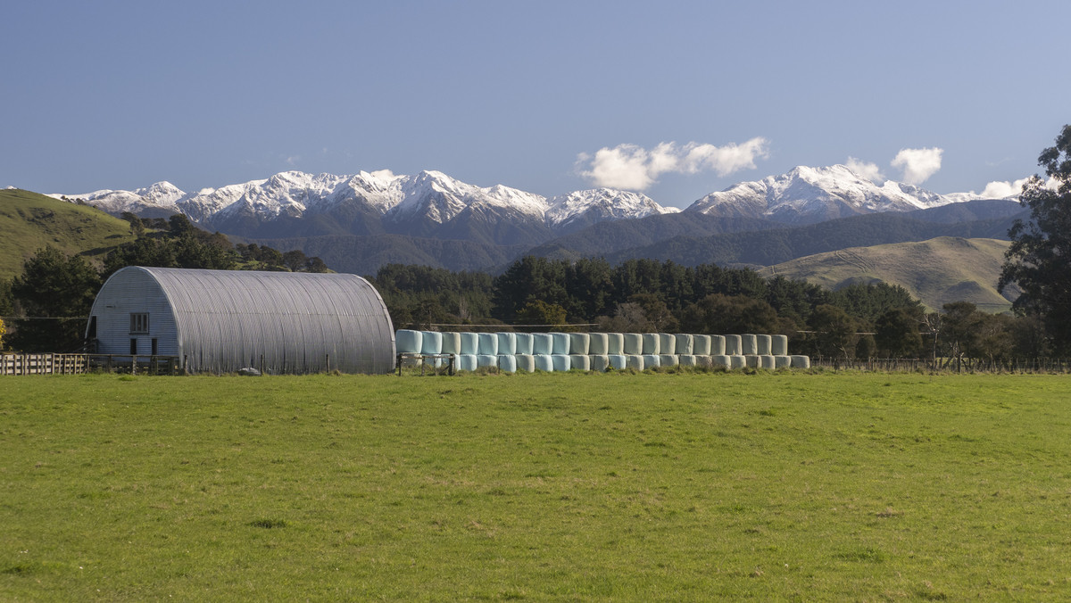 Versatile 44.8ha - 2 Titles, Great Location
