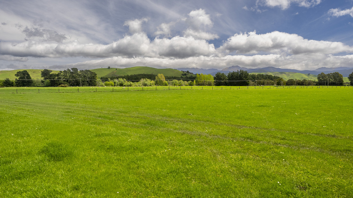 Versatile 44.8ha - 2 Titles, Great Location