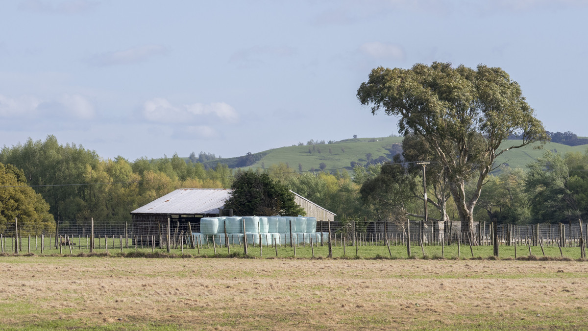 Versatile 44.8ha - 2 Titles, Great Location