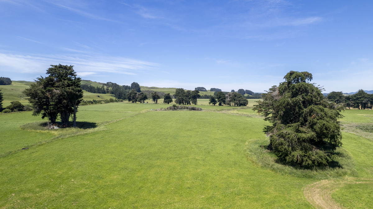 Proven & Productive Support Block