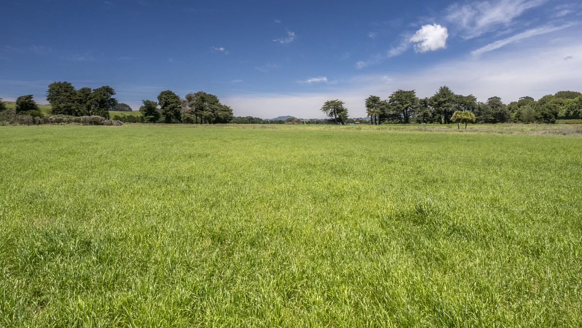 Proven & Productive Support Block