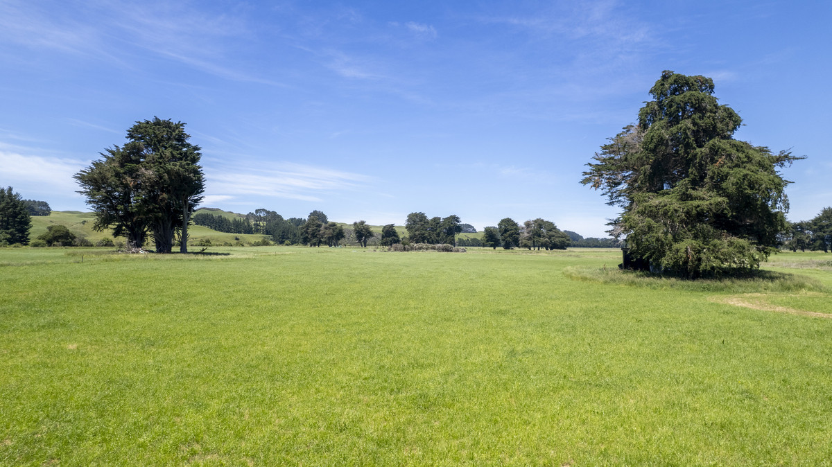 Proven & Productive Support Block