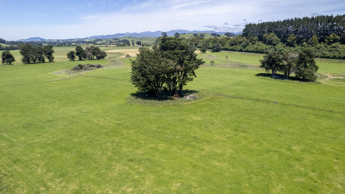 Proven & Productive Support Block