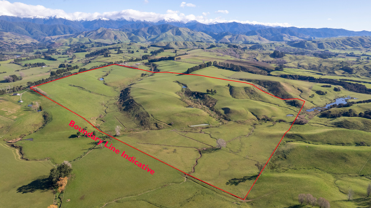 Prime Location with Exceptional Sell-Down Options