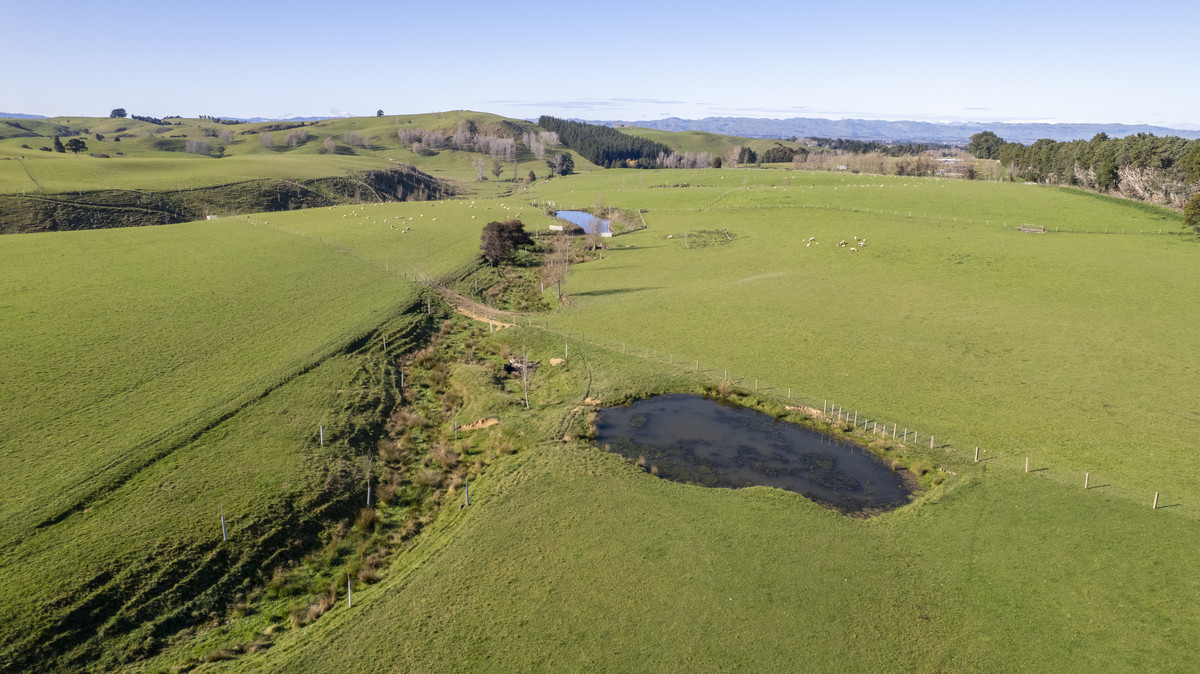 Prime Location with Exceptional Sell-Down Options