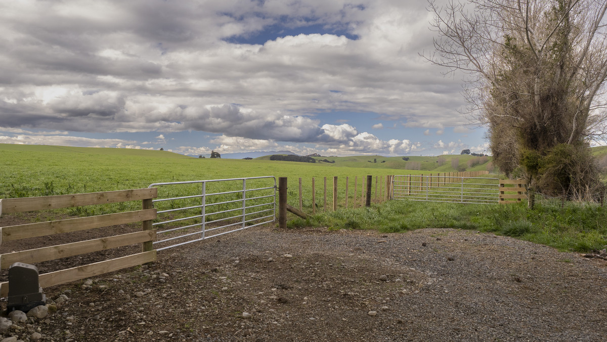 Prime Location with Exceptional Sell-Down Options