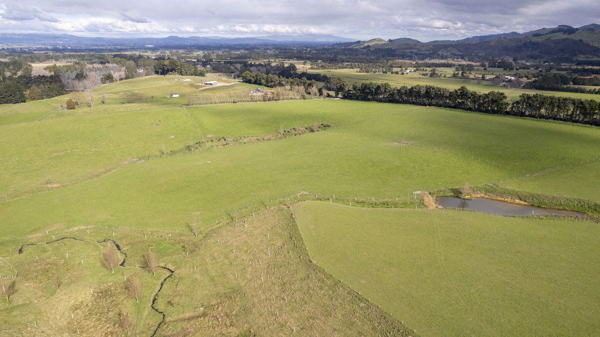 Prime Location with Exceptional Sell-Down Options