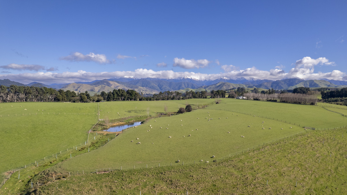 Prime Location with Exceptional Sell-Down Options
