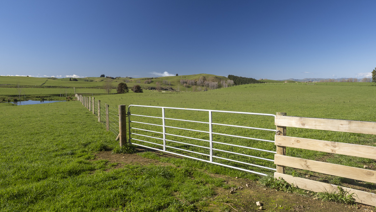 Prime Location with Exceptional Sell-Down Options