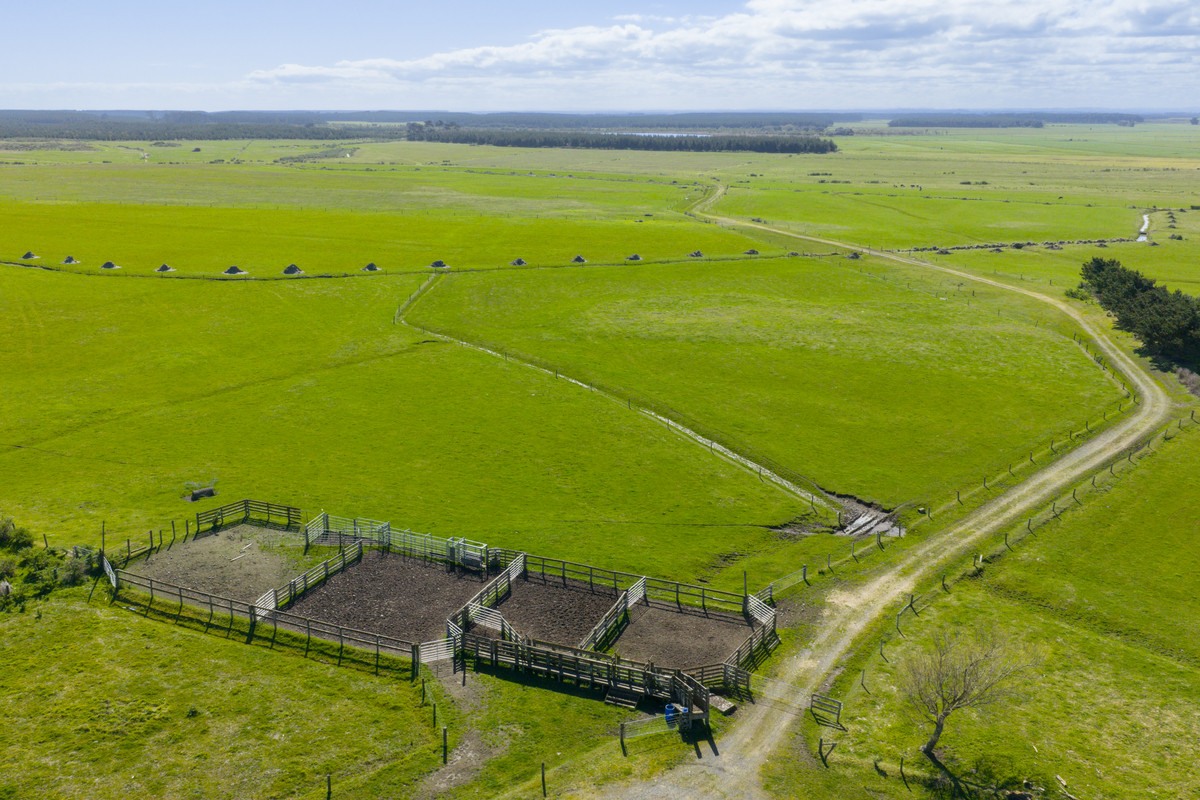 Ideal Dairy Support & Cattle Wintering Country