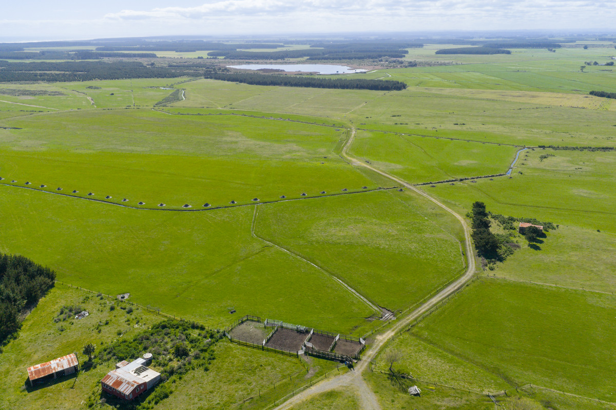 Ideal Dairy Support & Cattle Wintering Country