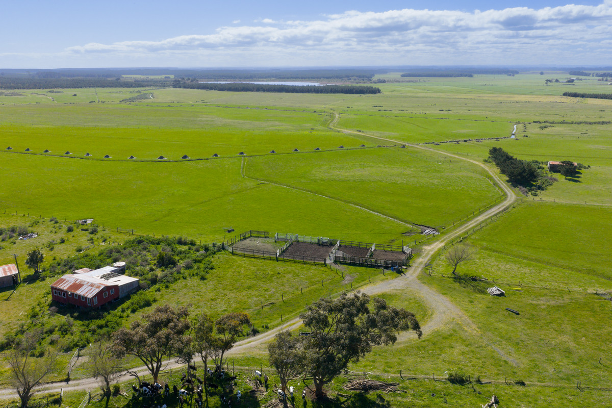 Ideal Dairy Support & Cattle Wintering Country